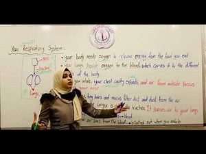 Science, grade 6 , the respiratory system