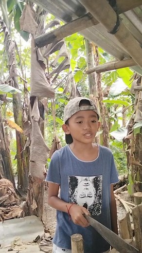 Wa ka palag 😆 #everyonehighlights #fbreelsviral #TopFunds #pigfarmingtips #pigfarming | Rando Berongoy Daug