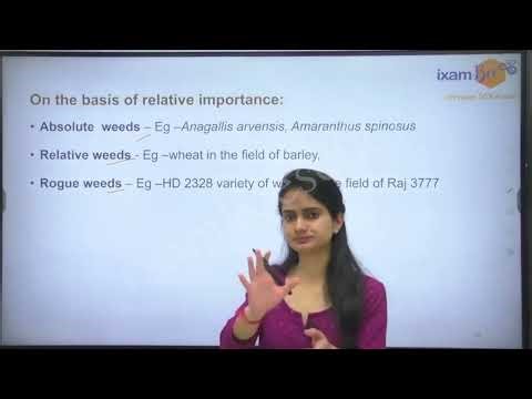 Agribee AFO Basic Principles of Crop Production Lecture 9