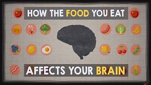 Sluggish after lunch but unable to fall asleep at night? How exactly does the food you eat affect your brain? | TED-Ed