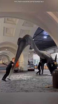 Quetzalcoatlus — The Largest Flying Animal Ever