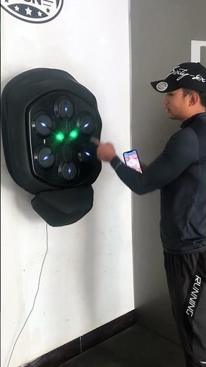 Smart Music Interactive Boxing Target