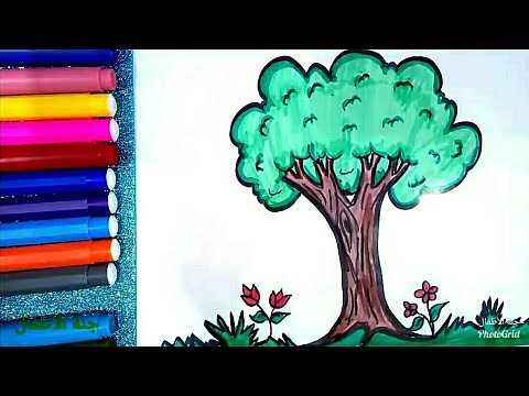 تعليم رسم شجرة وتلوينها للاطفال خطوة بخطوة | drawing a tree