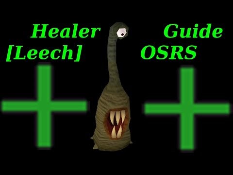 Barbarian Assault Healer Role - Food Spacing Guide