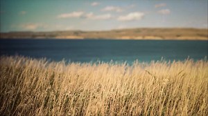 21K views · 624 reactions | This beautiful documentary is a moving testament to the strength, hope and resilience of the Water Protectors who are peacefully protesting a project that violates the rights of the Standing Rock Sioux Tribe and will add to detrimental climate change. | 1 Million Women | Facebook
