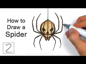 How to Draw a Spooky Spider