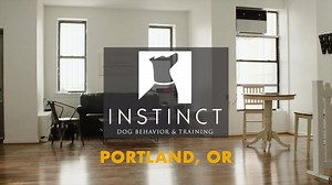 2.8K views · 89 reactions | WE HAVE EXCITING NEWS!!! Instinct's fifth...