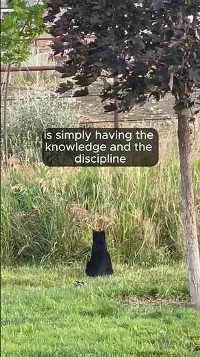 Conscious Creation Is Simply Mastering Your Focus