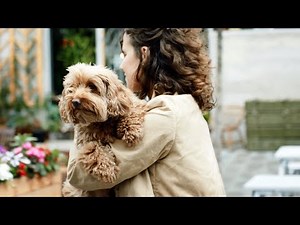 Michael Franks - To Spend The Day With You (song video)