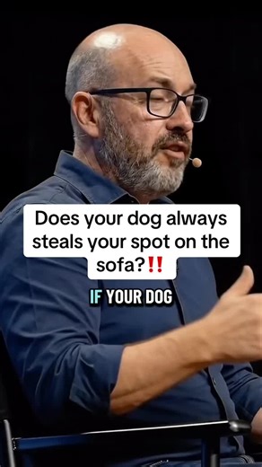 Why Dogs Steal Your Spot on the Sofa