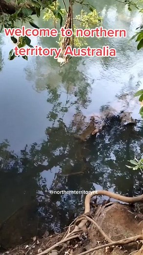 welcome to the northern territory..🤔 don't try it...