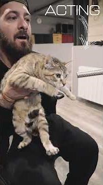 Mandalorian #starwars #sounddesign #sfx #cinematicmusic