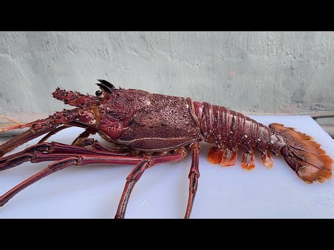 Red Lobster Sashimi Recipe // Best Cooking