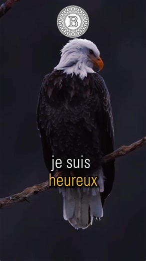 À chaque fois que les gens font mes discours #Shorts #Motivation #Inspiration