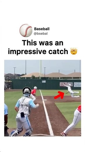 Impressive Catch! 🤯 #baseball