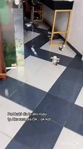 142K views · 7.1K reactions | Oh my jep on Reels | Facebook