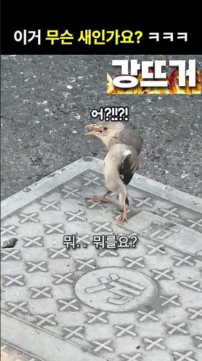 명령하지마라 ㅋㅋㅋ