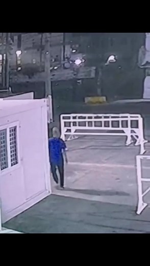 The terrorist who planted the bomb that killed six-year-old Soraya Bourne and injured several others at the Mobil Gas Station on Regent Street was captured on camera. If you have any information please contact the police immediately at 226-6978, 225-8196, 227-1611, 225-6940, 225-6978, 225-8196 or the nearest police station. | Gt Watch Story Hay