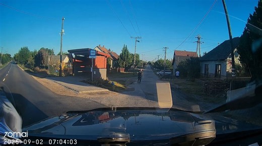 Megvadult szarvas támadt rá egy állatmentőre Mezőfalván – videón a hátborzongató jelenetsor | Sokszínű vidék