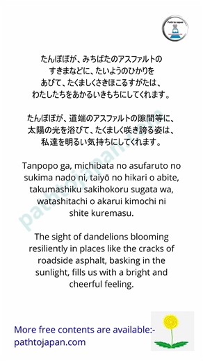 Shorts Learn Natural Japanese Rhythm, JLPT N5 N4 Listening pod cast style Spring たんぽぽ Tanpopo
