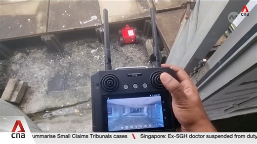 Pest control robots helping to keep mosquitoes at bay in Singapore