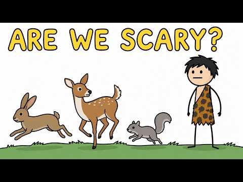 Why Animals Are ACTUALLY Terrified of Humans