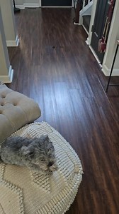 1.1K views · 17 reactions | Oy vey. | Jeff T. Atwood | Facebook