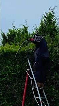 The Henchman 10' Tripod Ladders For uneven Ground #fypシ February Conifer Hedgecutting #Henchman