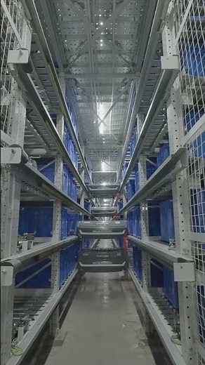 How Carton Shuttle Revolutionizes Warehouses!