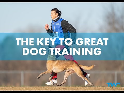 THE KEY TO GREAT DOG TRAINING || 2-Time World Champion Ivan Balabanov shares the key to his success!