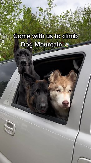 Hiking Adventure: Conquering Dog Mountain with Stunning Views