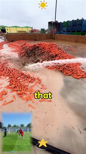 Part1 Olas just wandeing off at Disneyland Paris at the New World of Frozen coming next March! Beyond cute#disneyland #WorldOfFrozen#frozen #disneyadventureworld#disneylandparis