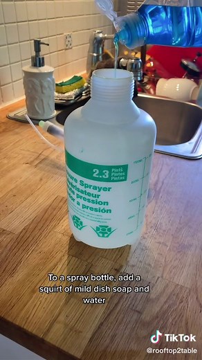 Natural Homemade Aphid Spray Recipe