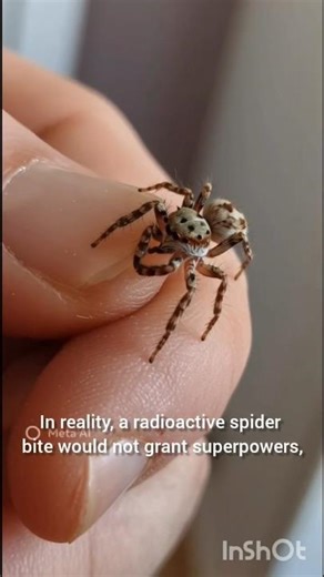 What happens if a radioactive spider bites you 😬 #youtube #zackdfilm #shorts