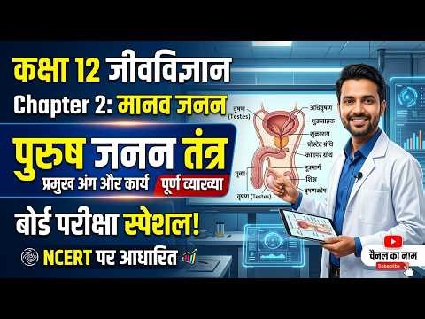 2. मानव जनन: पुरुष जनन तंत्र (Male Reproductive System) | Class 12 Biology Hindi Medium