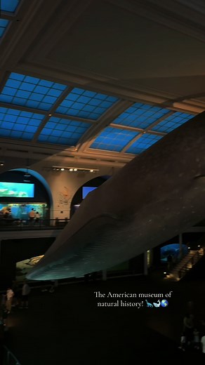 American Museum of Natural History NYC Adventure
