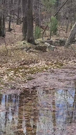 A long forgotten town had existed here in the late 1800s. Only way to the area was to take a long hike to it. #forgottentown #hike #ghosttown #history #mystery