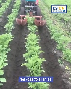 101K views · 1.1K reactions | Motoculteur la mécanisation de l'agriculture | ES-TV | Facebook