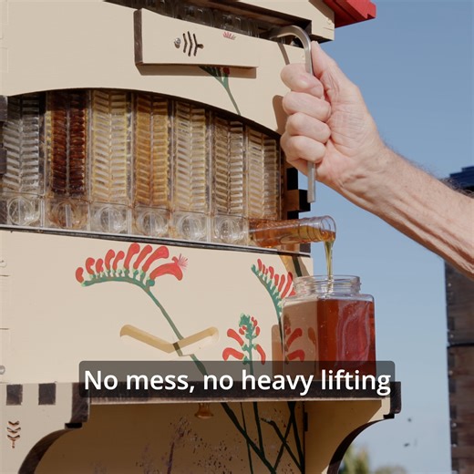 16K views · 363 reactions | Ready to harvest honey straight from your...