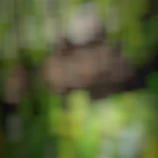 #CapCut đánh rơi cái pc#xuhuong #fyp #minecraft #4k #shadersminecraft