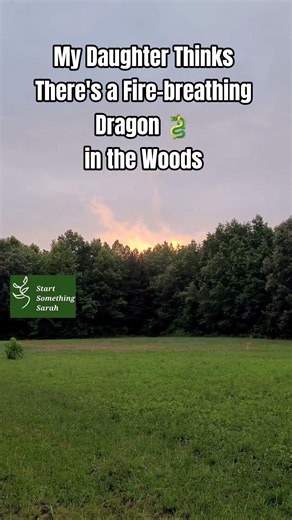🐲A fire-breathing #DRAGON in our woods?! It's NOT a fire... so what is this? #weirdnature