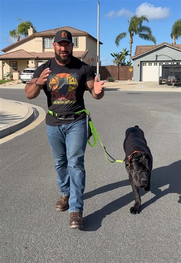 What to Do with Your Dog's Leash