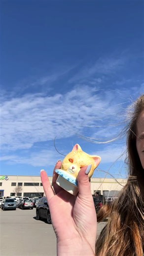 Discover Unique Home Decor at Goodwill Finds