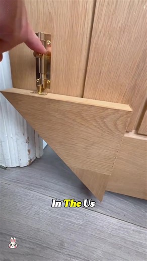 Cat Flap Innovations: Unique Indoor Solutions