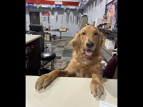 Your Local Full-Service Auto Repair Shop | T&A Auto Service