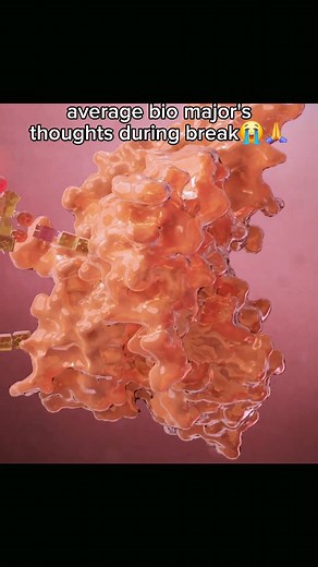 Dr. Xanthine on Instagram: "follow for more biology and chemistry content! already studying for next semester's classes Sources Lamp Science and John Liebler Art of the Cell "The mitotic phase is usually the shortest part of any cell cycle. The largest portion of the cell cycle, interphase, makes up 90% of a cell's life cycle and is the stage for growing and performing the cellular functions specific to that cell. The interphase is further divided into two G phases- G1 and G2- and an S phase. Du