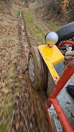 23K views · 1.6K reactions | True or False Experiments on Reels | Facebook