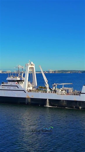 Factory Trawler Northern Jaeger Returns from Bering Sea Pollock Season | American Seafoods 4K Drone