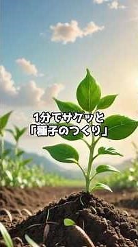 1分でわかる！種子のつくりと分類｜胚・胚乳・種皮・単子葉類・双子葉類