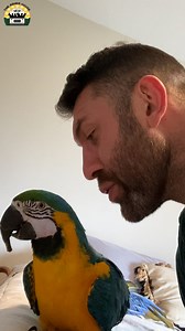 Mugsy shows off his dance moves and gets a new toy 🦜 | The Asher House